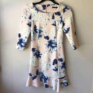 ZARA Blush Dress w/ Blue Floral Sz. S